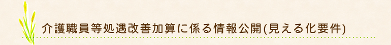 介護職員等処遇改善加算にかかる情報公開(見える化要件)